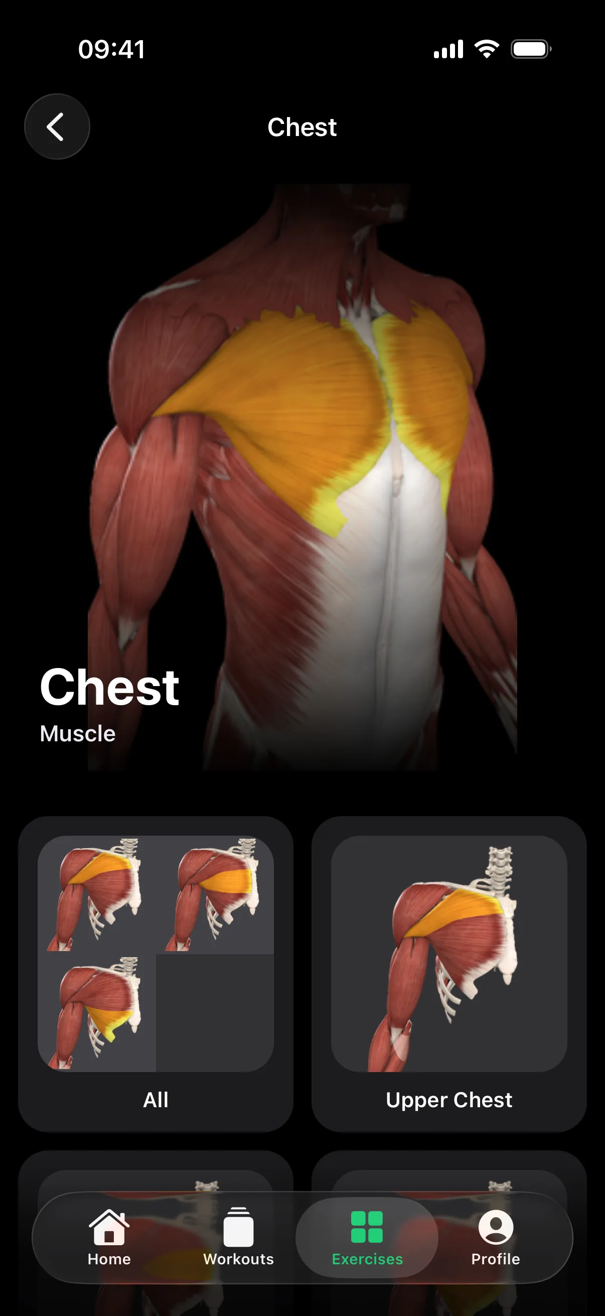 SeeGym screenshot 5