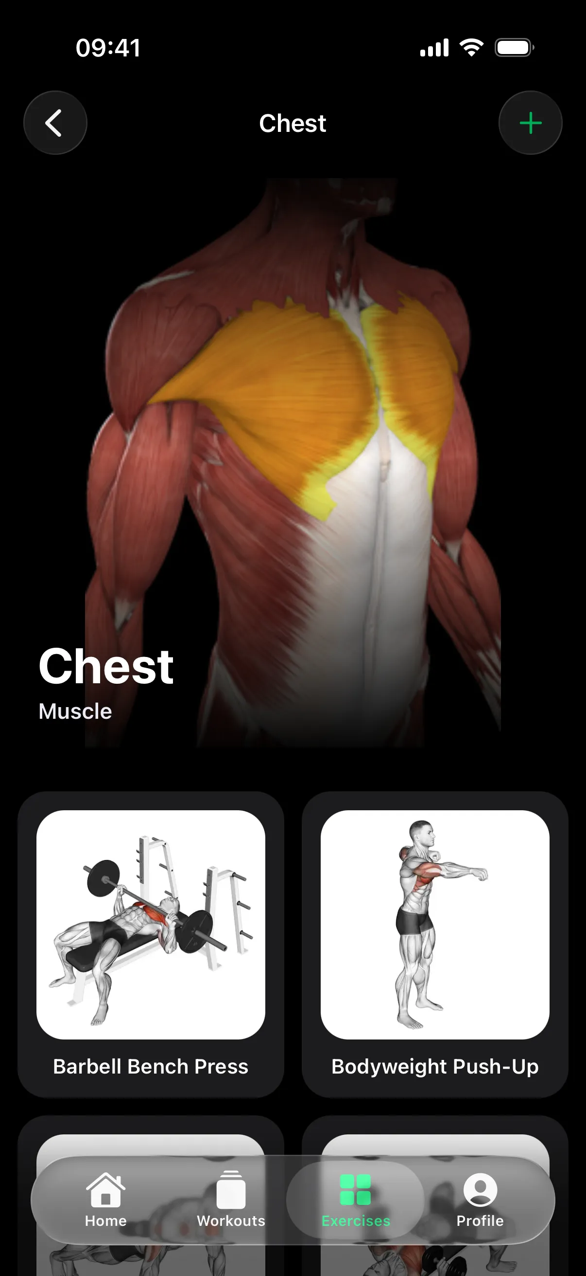 SeeGym screenshot 6